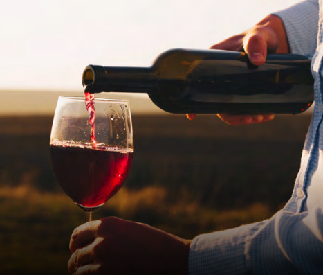 Curitiba, PR: Bus Tour, caminho do vinho